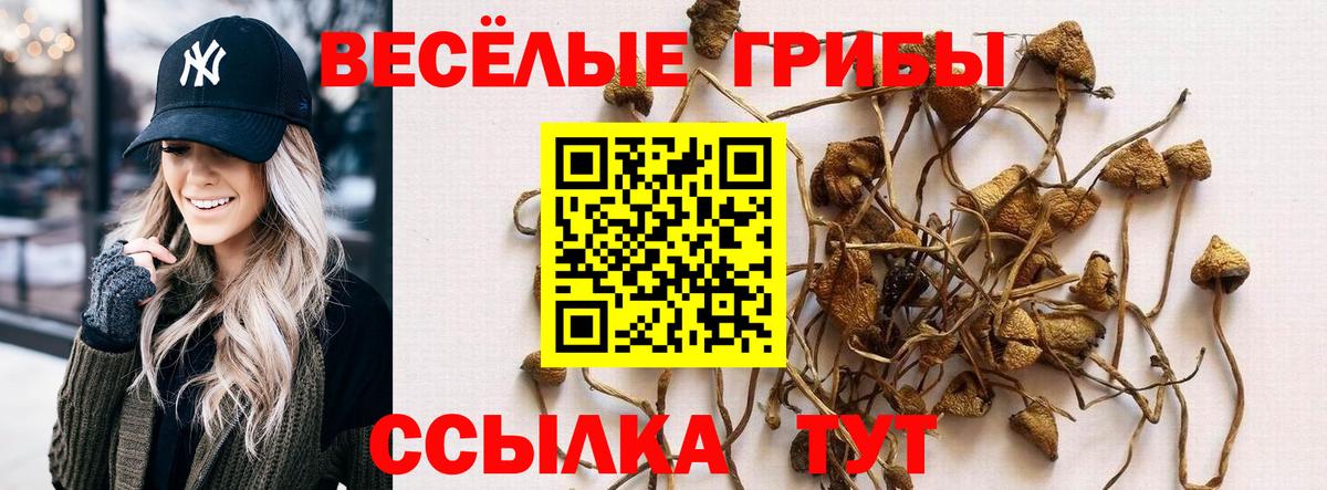 Наро-Фоминск  Галлюциногенные грибы мицелий  Вход с VPN 